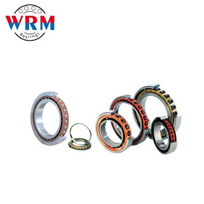 WRM China Brand Angular Contact Ball Bearing 7310AC 50*110*27mmdividing head