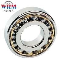 WRM China Brand Angular Contact Ball Bearing 7017AC high frequency motor